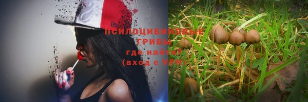 прущие крисы Баксан