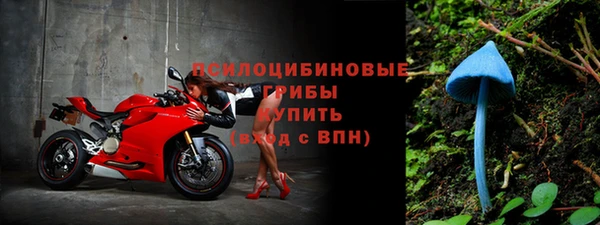 2c-b Балахна
