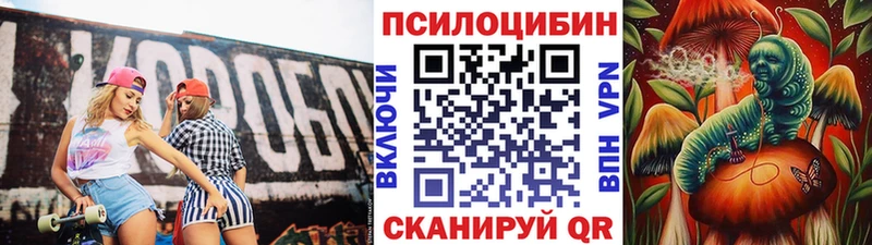 Псилоцибиновые грибы Psilocybe  Кубинка 
